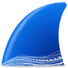 Wireshark icon
